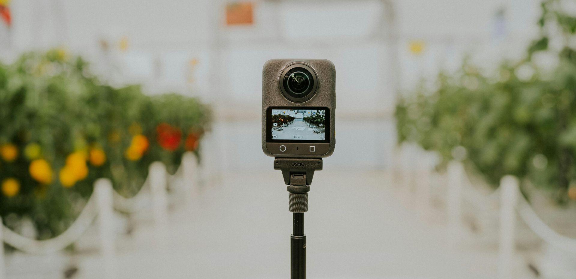 Cheyf Accommodations